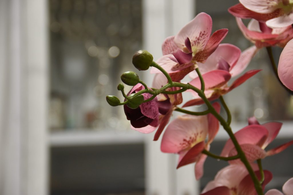 Decoração sazonal em composição de loja